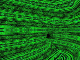 Matrix babička